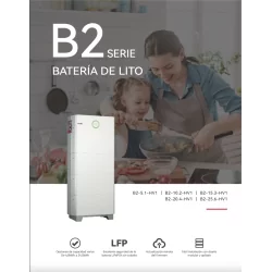 Bms + Kit cavi batteria saj B2 5.1Kw Hv1 - Wsolar.Shop